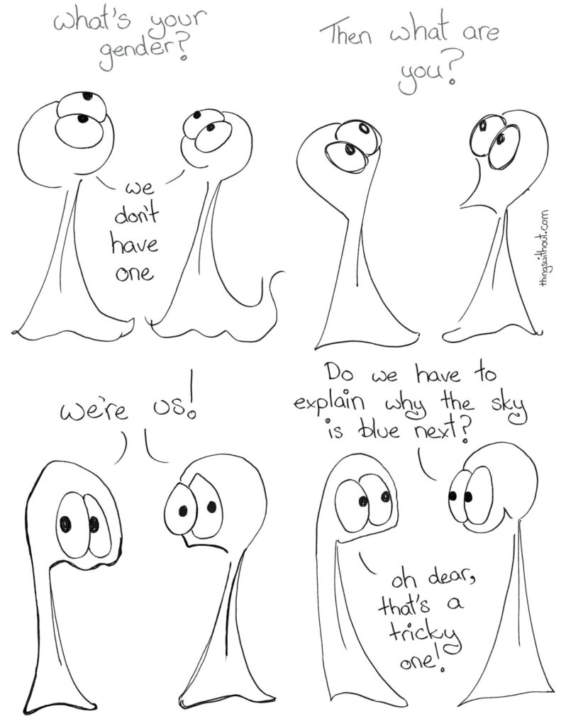 Narrator: What's your gender? Things: We don't have one. Narrator: Then what are you? Things look shocked and appalled by the question. They look a little cranky when they say: We're us! The Things smile. Thing 2: Do we have to explain why the sky is blue next? Thing 1: Oh dear, that's a tricky one!