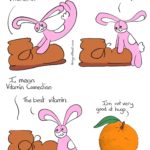 Vitamin Connection Comic Transcript Boot (a brown boot with round laces and curved leather) is being playfully pounced by Bunson Hoppydew (a pink bunny, he likes dancing friendship and cake). Boot: Bunson, you're an excellent source of Vitamin C. Bunson: Is it because I eat a lot of carrots? Boot: I mean Vitamin Connection. Bunson: The best vitamin. We see an orange with a single leaf attached to the stem. Orange: I'm not very good at hugs.